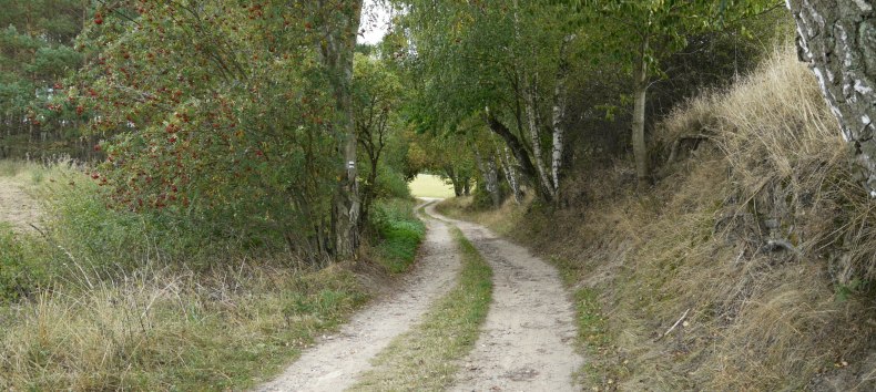 © Naturpark Sternberger Seenland