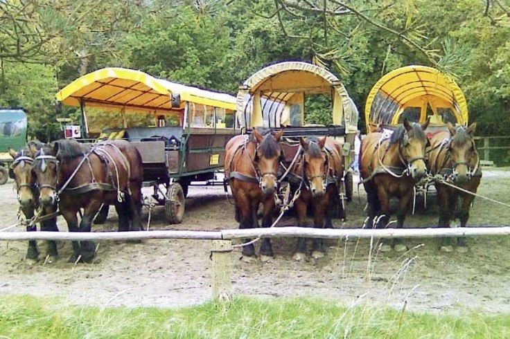 Carriage rides miner