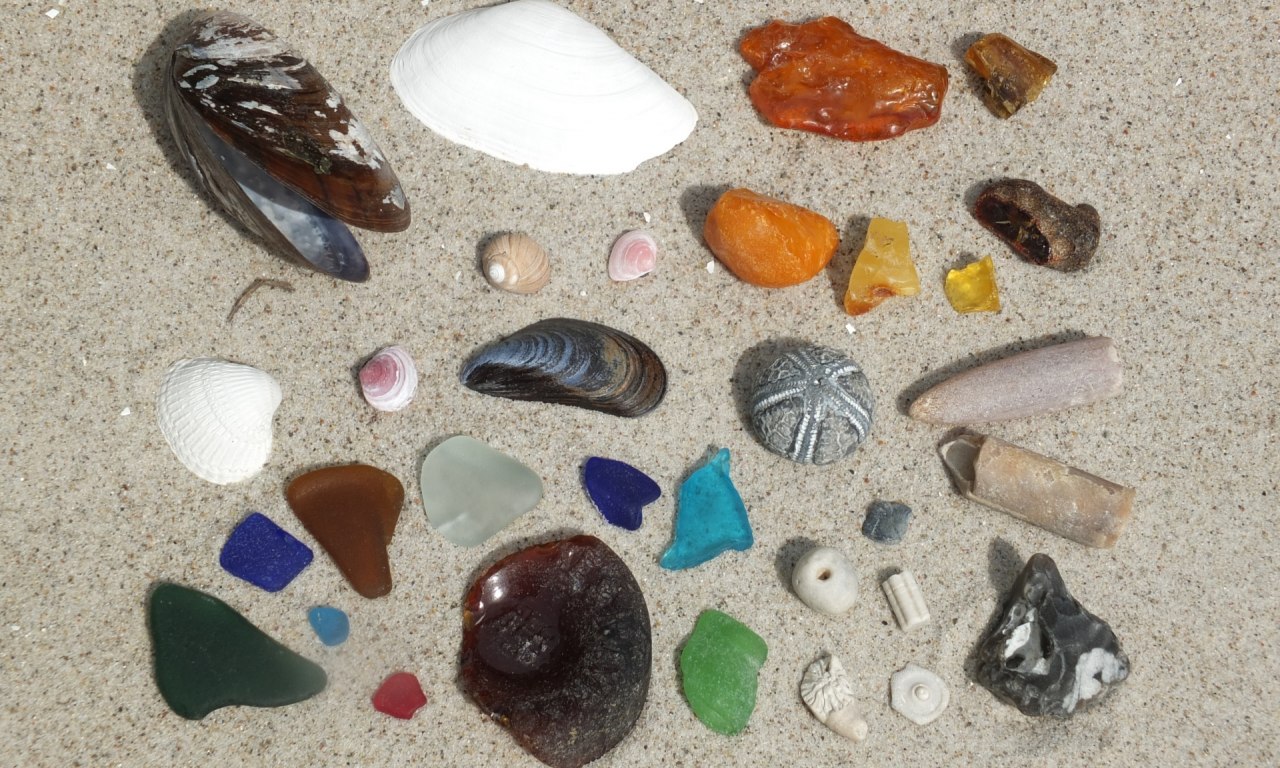 Beach finds from the Baltic Sea beach // © Martin Hagemann Beach finds from the Baltic Sea beach // © Martin Hagemann