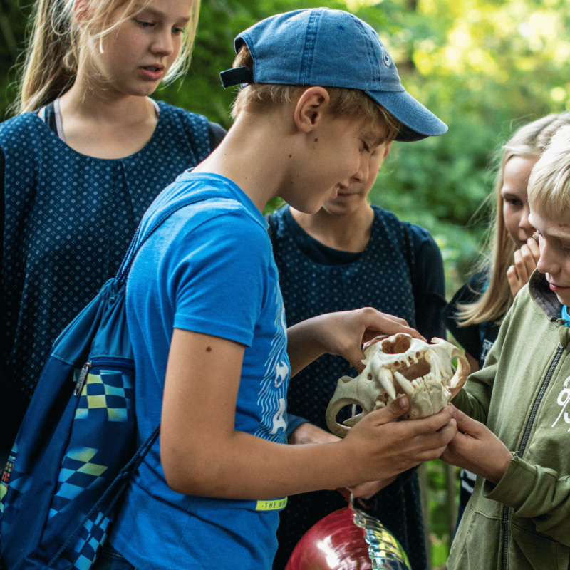 © Zoo Schwerin © Zoo Schwerin