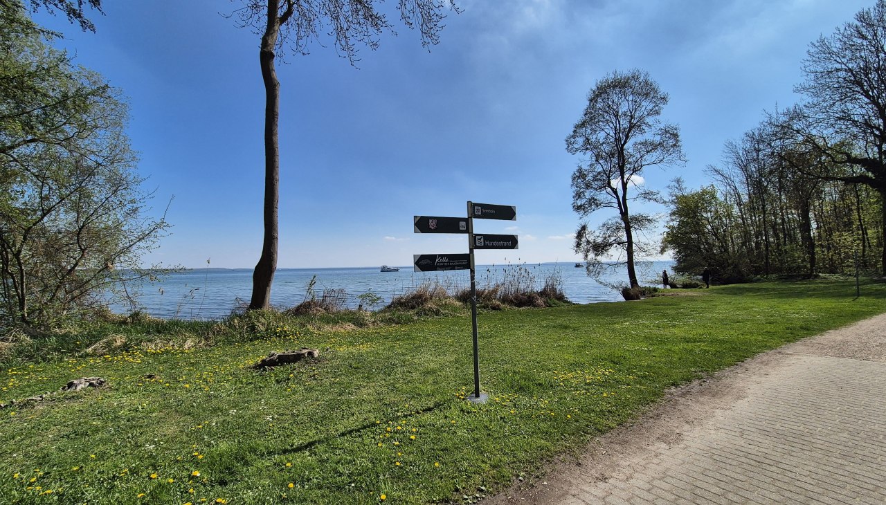 20250420_135244, &copy; Gina Schulenberg