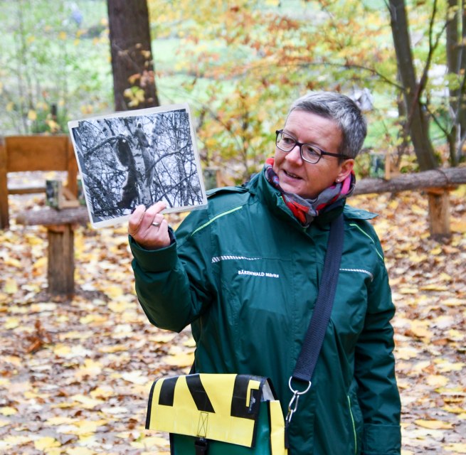 © BÄRENWALD Müritz | Manuela Klier © BÄRENWALD Müritz | Manuela Klier