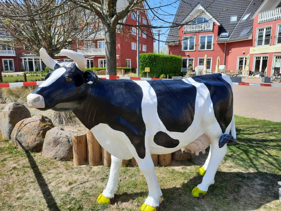 Kuh stehend neu 2022, © Landmarkt615/Sandra Loll Kuh stehend neu 2022, © Landmarkt615/Sandra Loll