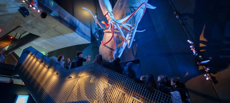 Wystawa "1:1 Giants of the Seas" jest ostatnim przystankiem na trasie zwiedzania i zaprasza odwiedzających do zapoznania się z interesującymi faktami na temat wieloryb&oacute;w i ich zagrożenia., &copy; Anke Neumeister/Deutsches Meeresmuseum