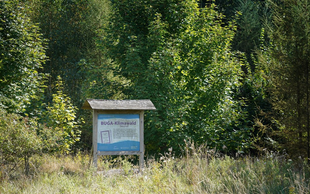 DSC07376-klein, © Landesforst MV