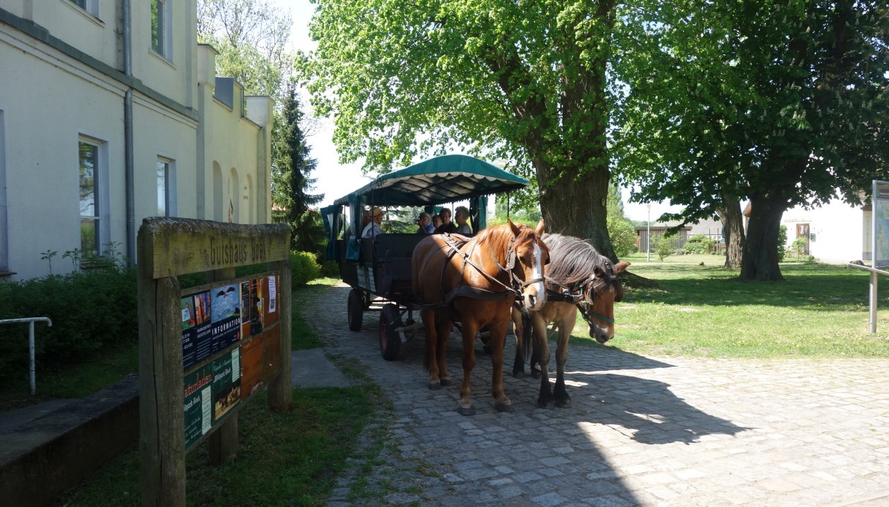 Boek Manor House, © TDG Rechlin mbH Boek Manor House, © TDG Rechlin mbH