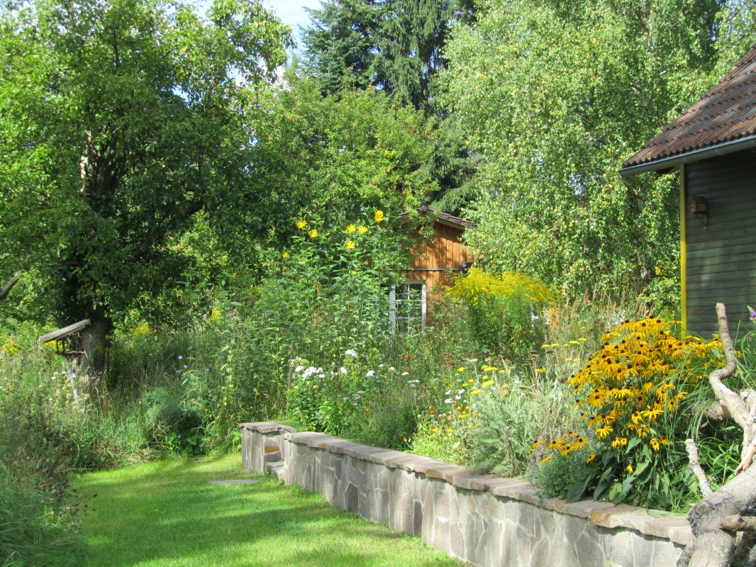 Terrace from willow house - grown in "wild" nature // © Ewald Krombholz Terrace from willow house - grown in "wild" nature // © Ewald Krombholz