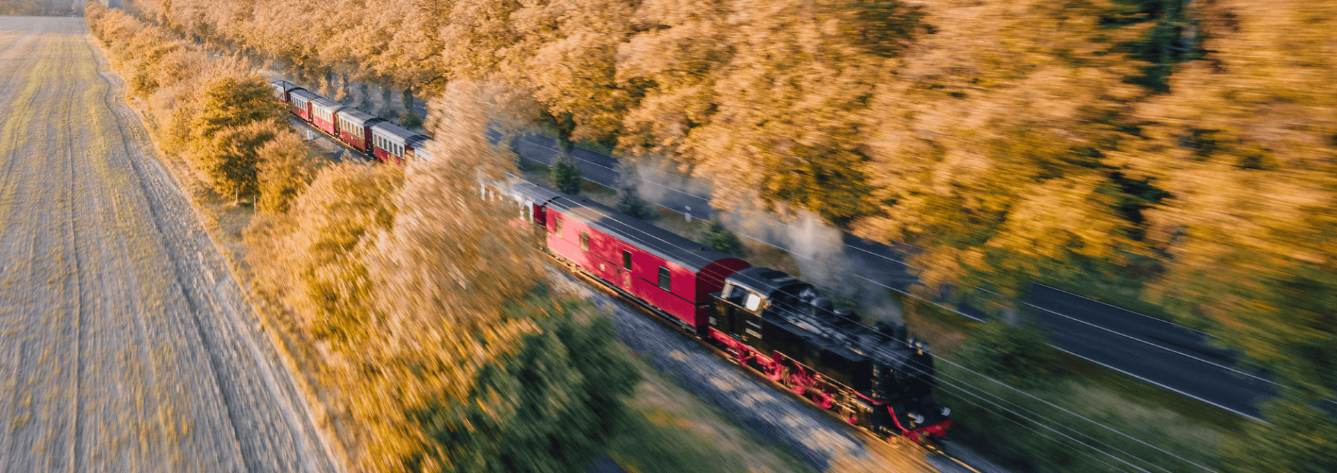 Een stoomlocomotief van de Mecklenburgse Bäderbahn "Molli" rijdt door een laan met gouden herfstbomen, omringd door velden en natuur.