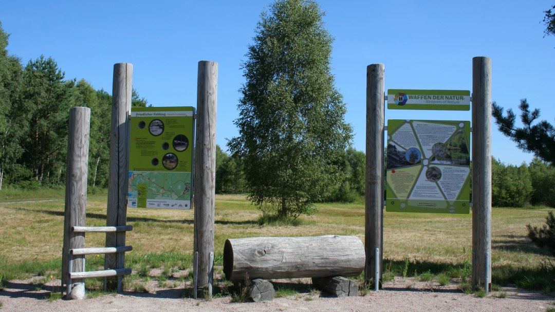 Ścieżka odkrywania bioróżnorodności we wrzosowisku Rostock, © Stadtforstamt Rostock/K. Kuhr