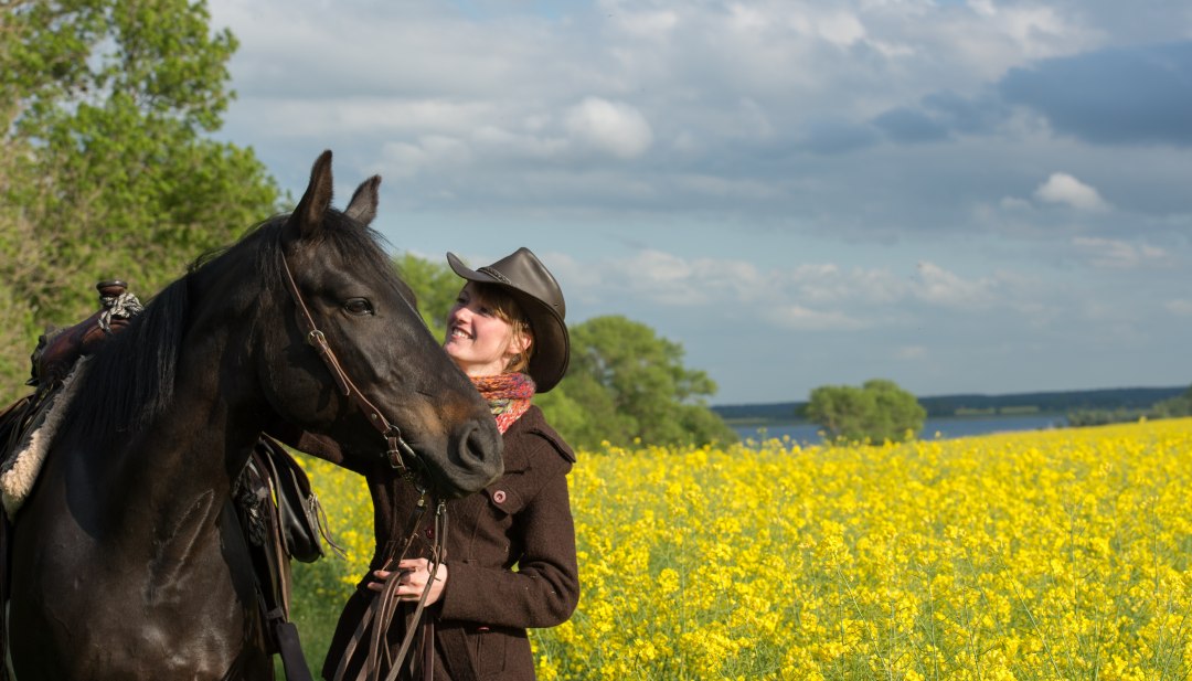 Go on a journey with your own horse and gain great new impressions on the way. // © MV-T/Hafemann Go on a journey with your own horse and gain great new impressions on the way. // © MV-T/Hafemann