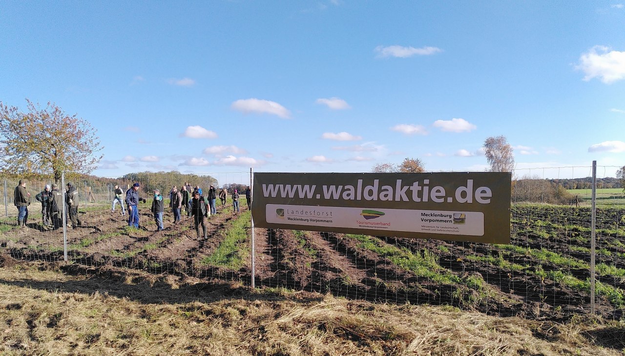 Op Rügen wordt een klimaatbos aangelegd, © Johanna Köhnlein