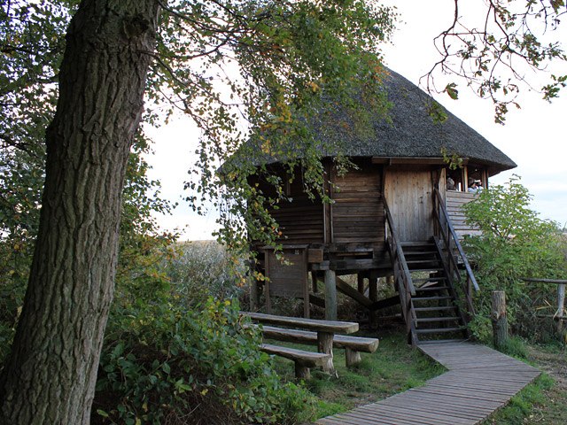 Kraanobservatiepunt Bisdorf