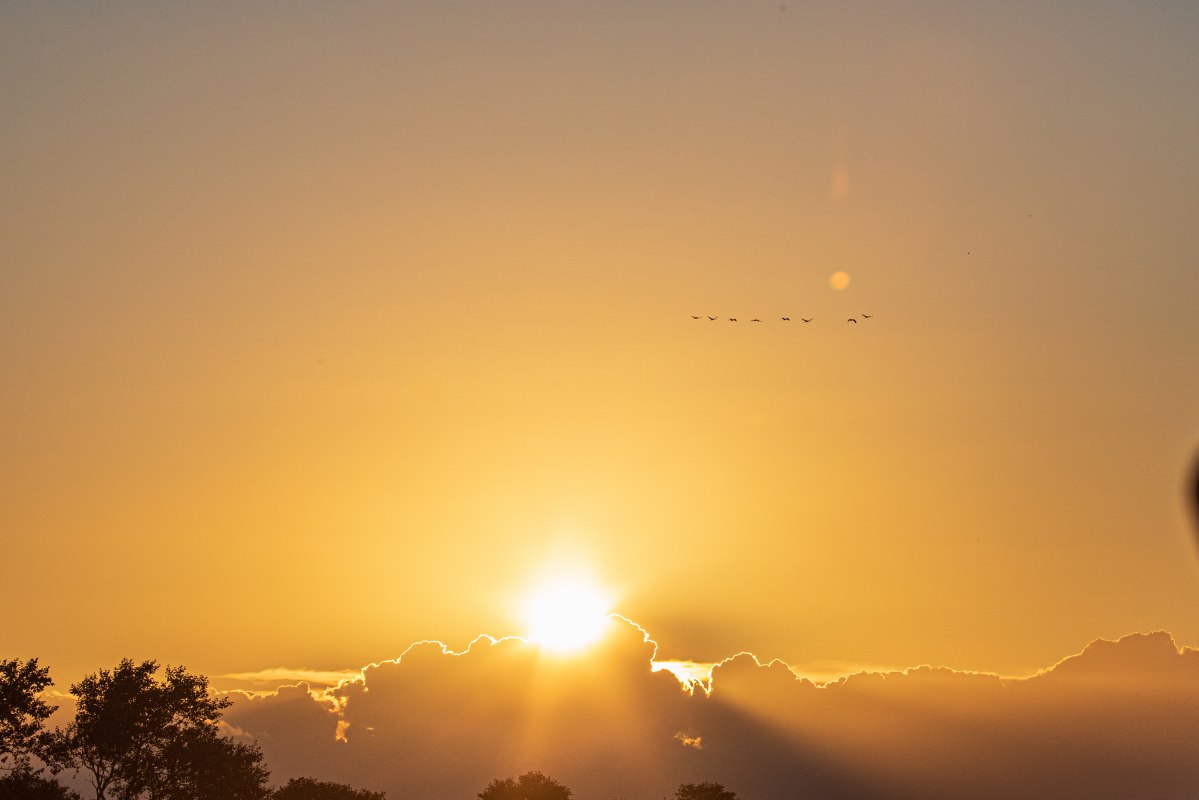 &copy; Wei&szlig;e Flotte GmbH