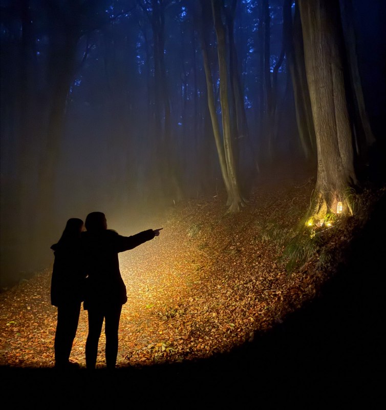 &copy; Nationalaprk-Zentrum K&Ouml;NIGSSTUHL