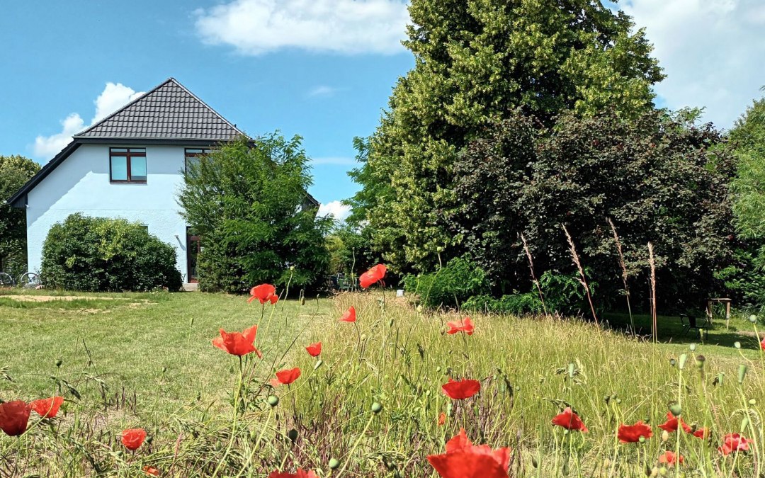 Grote tuin voor pauzes en beweging, © hubmueritz