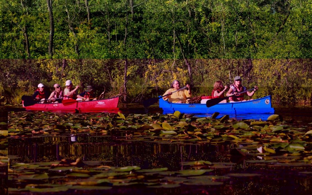geführte Tagestour_Alte Fahrt, © SeenLandAgentour GmbH