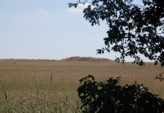 The tumulus in the cornfield is visible from far away. // &copy; Gabriele Skorupski