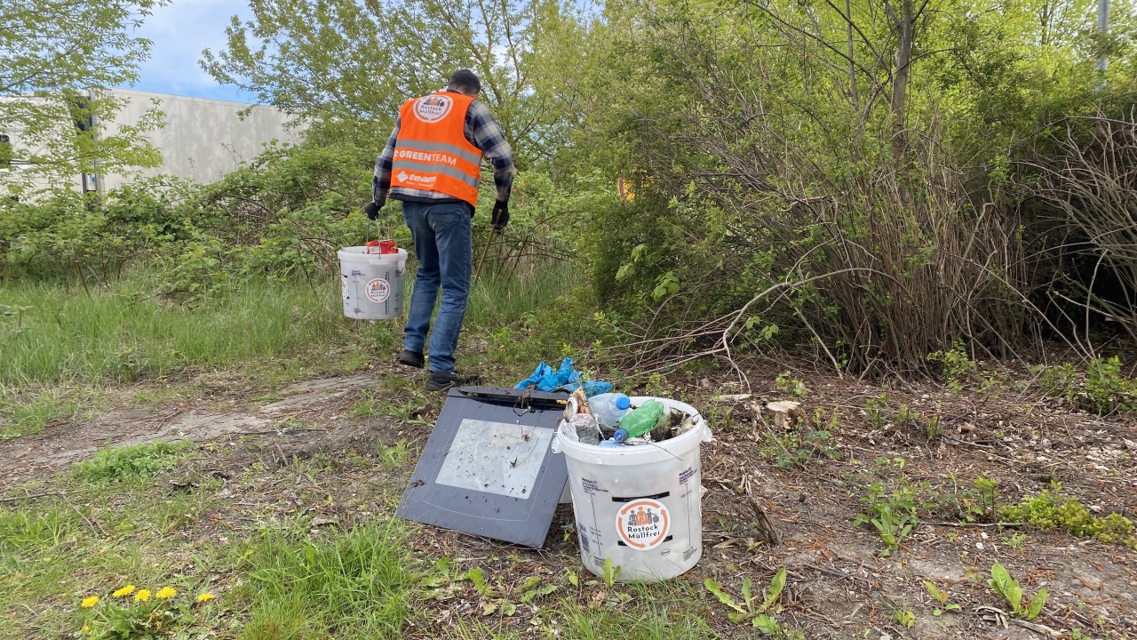 Helper collects garbage // &copy; Rostock M&uuml;llfrei e.V.