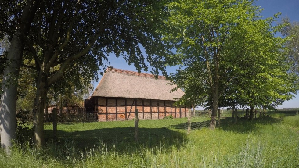 Widok stodoły z wioski, dach pokryty rurami, © Museumsscheune Ehlershof