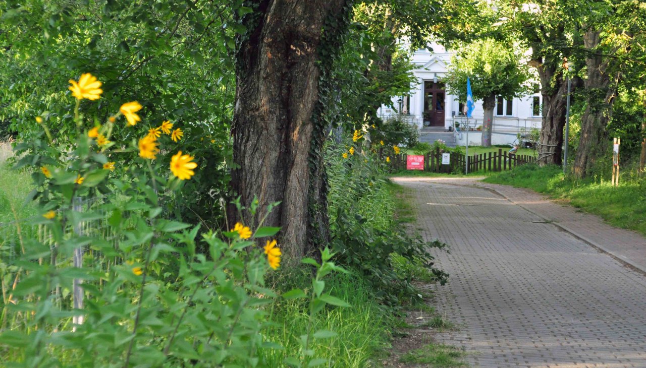 A cozy spot... If you are traveling by bike from Barth to Stralsund or vice versa, you won't get past us., © Christa Dregger