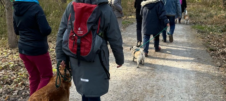 &copy; Westphals Insel Crew