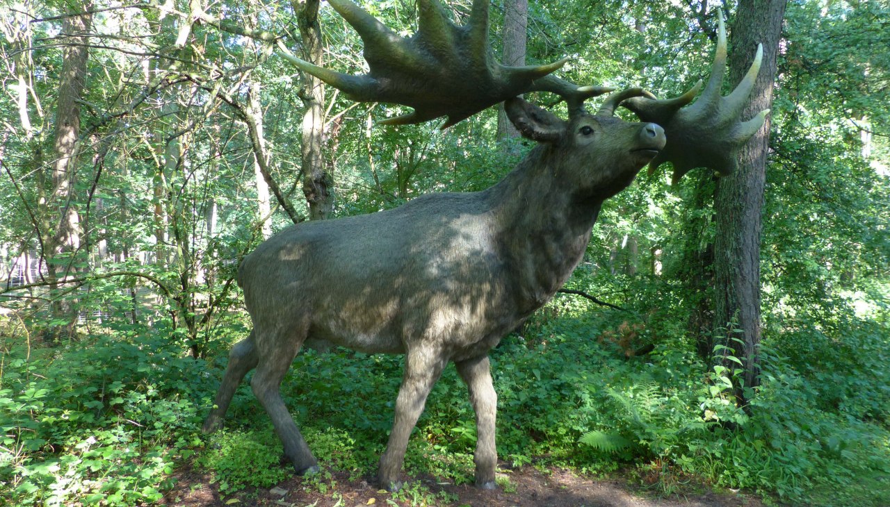 P1140117, &copy; Weichbrodt