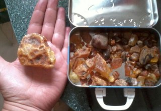 &copy; Bernstein.jpg