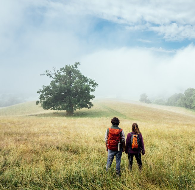 Het natuurparkpad in Mecklenburg Zwitserland - een koppel staat op een vlakke heuvel in de ochtendmist