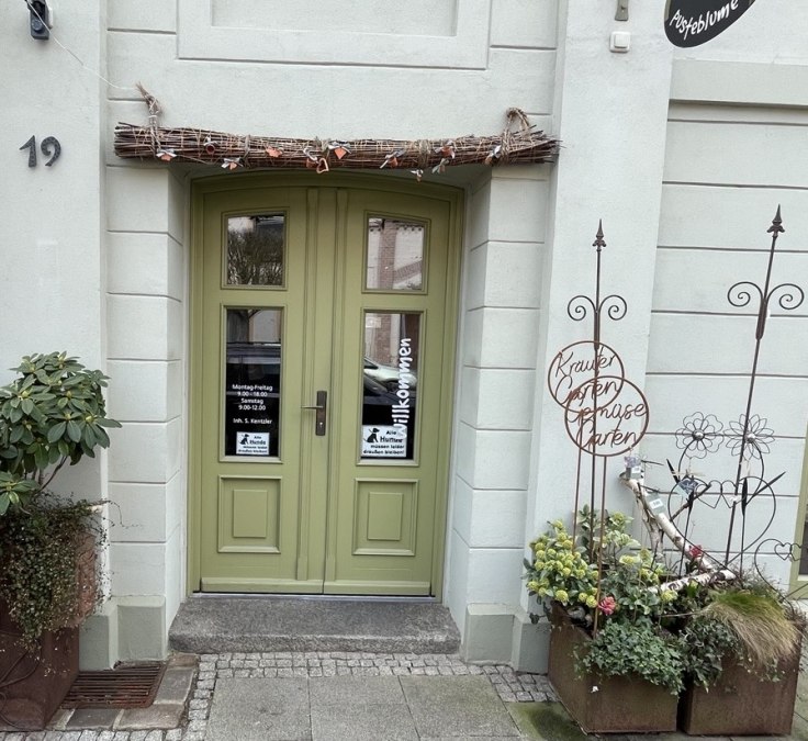 Dandelion 2, © Mönnich, Sarah Dandelion 2, © Mönnich, Sarah