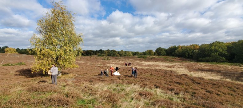 Heidepflege 2025 // &copy; D. Foitl&auml;nger