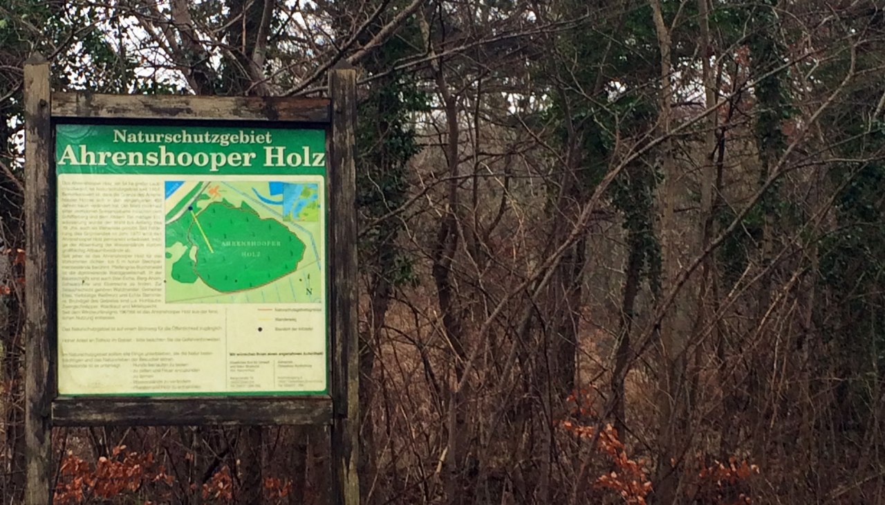 Ahrenshoop hout, © Kurverwaltung Ahrenshoop Ahrenshoop hout, © Kurverwaltung Ahrenshoop