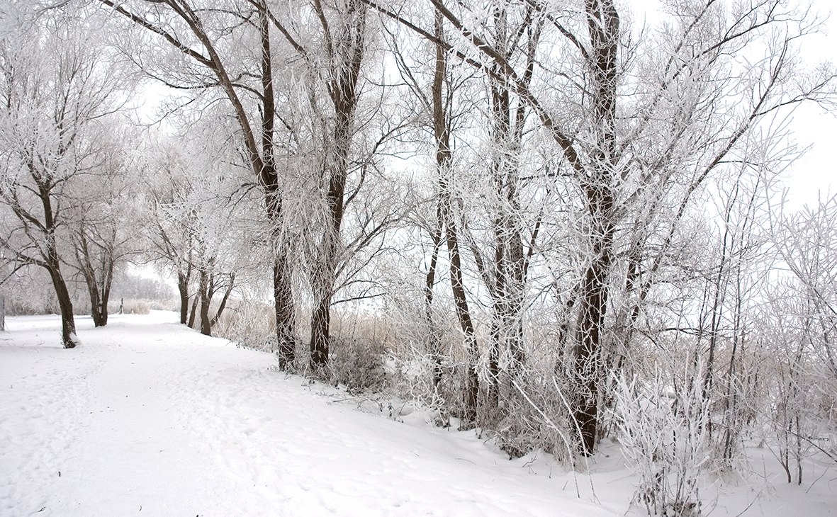 Winter mood, &copy; Infozentrum Wald & Moor