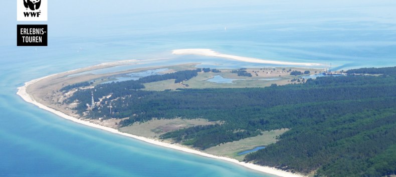 &copy; MartinHagemann