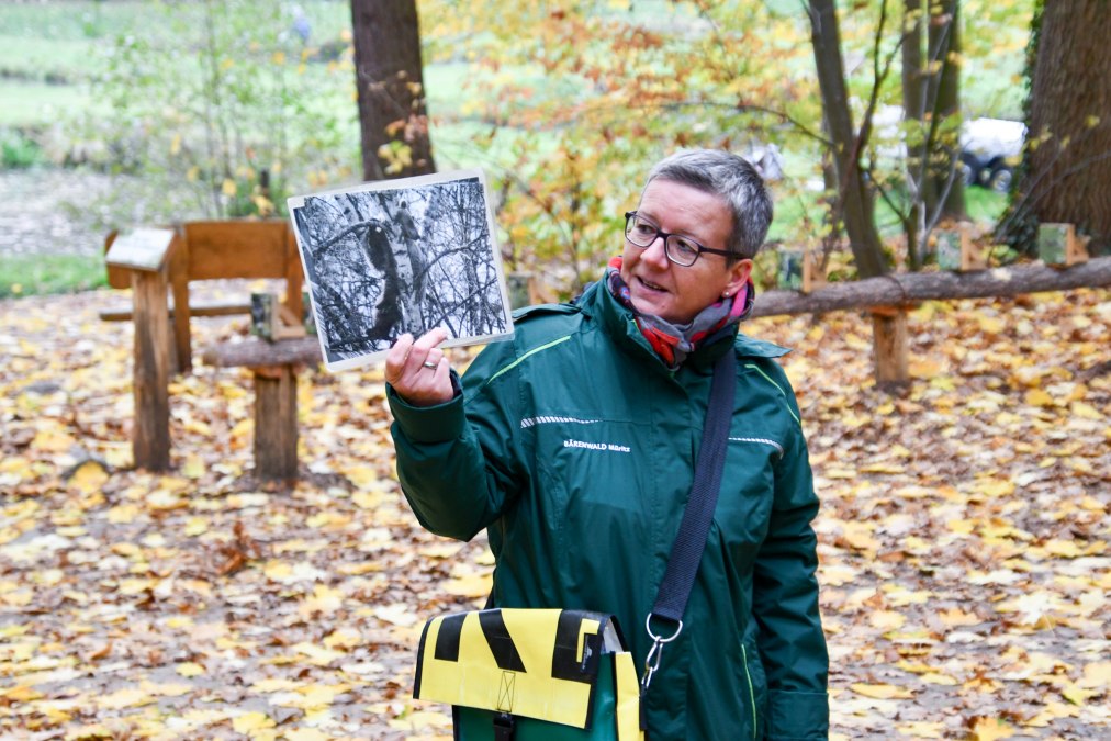 Zimowa wycieczka z przewodnikiem w BÄRENWALD Müritz, © BÄRENWALD Müritz | Manuela Klier Zimowa wycieczka z przewodnikiem w BÄRENWALD Müritz, © BÄRENWALD Müritz | Manuela Klier