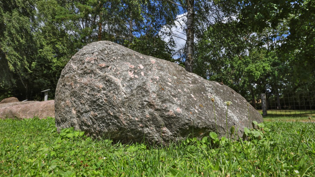 Ogród skalny Hohen Mistorf_1, © TMV/Gohlke