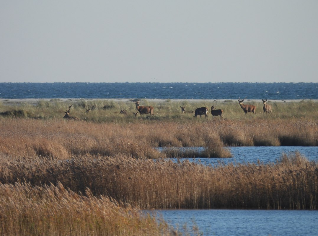 &copy; MartinHagemann