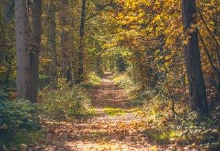 &copy; Kurverwaltung Ostseebad Baabe