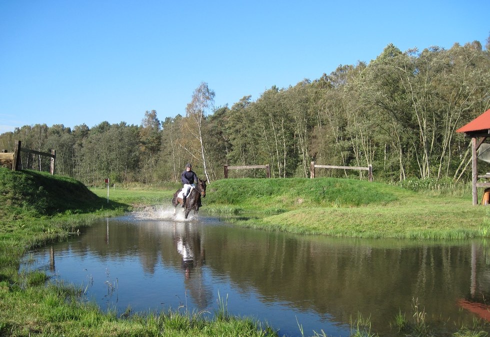 Consulent in het water, © Trakehnerhof Valluhn