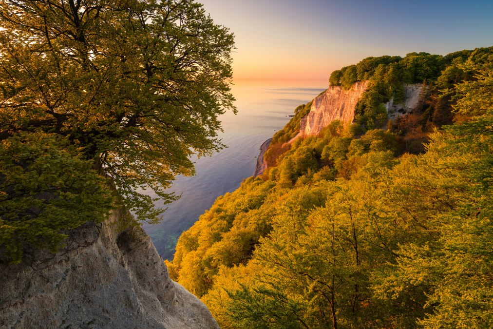 Allrich_NaturMV_Koenigsstuhl, © TMV/Allrich