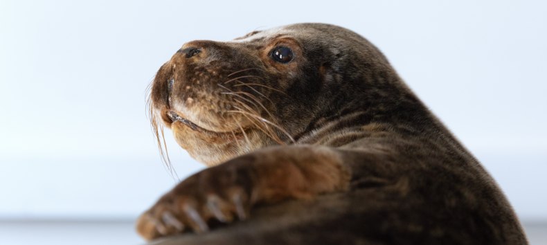 &copy; Anke Neumeister/Deutsches Meeresmuseum