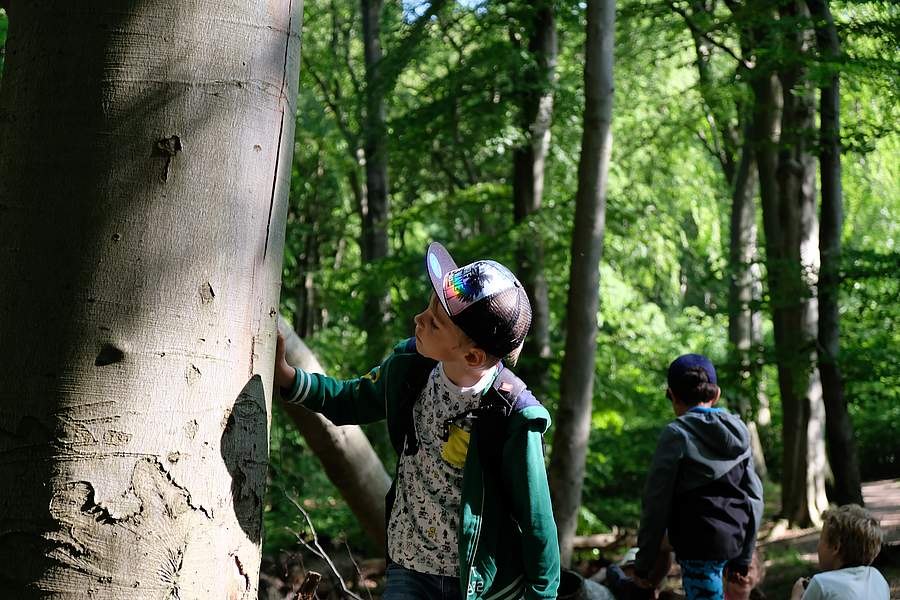 Zomerwandeling voor het gezin "In het rijk der schaduwen, © NZK-Lehmann