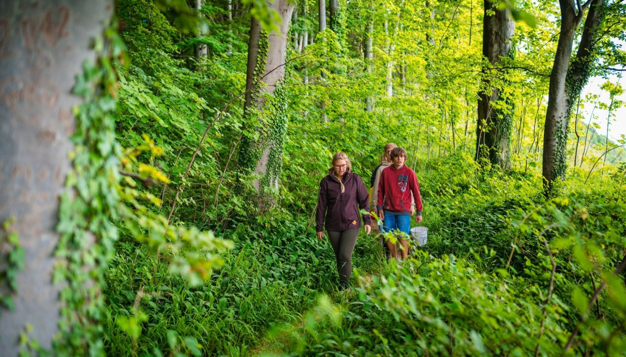 Nordperd (c) TMV Tiemann _165_Ruegen_Goehren_Nordperd_06_21, &copy; TMV Tiemann