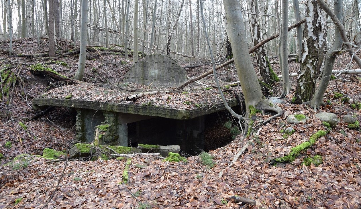 Ślady strukturalne obozu satelitarnego Neubrandenburg na stanowisku Waldbau, &copy; Bianka B&uuml;low