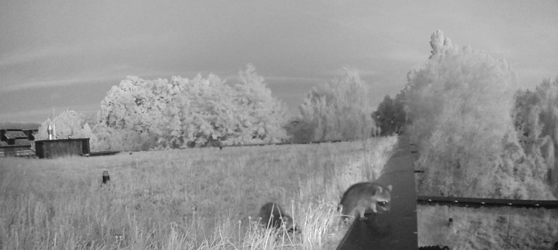 &copy; M&uuml;ritzeum