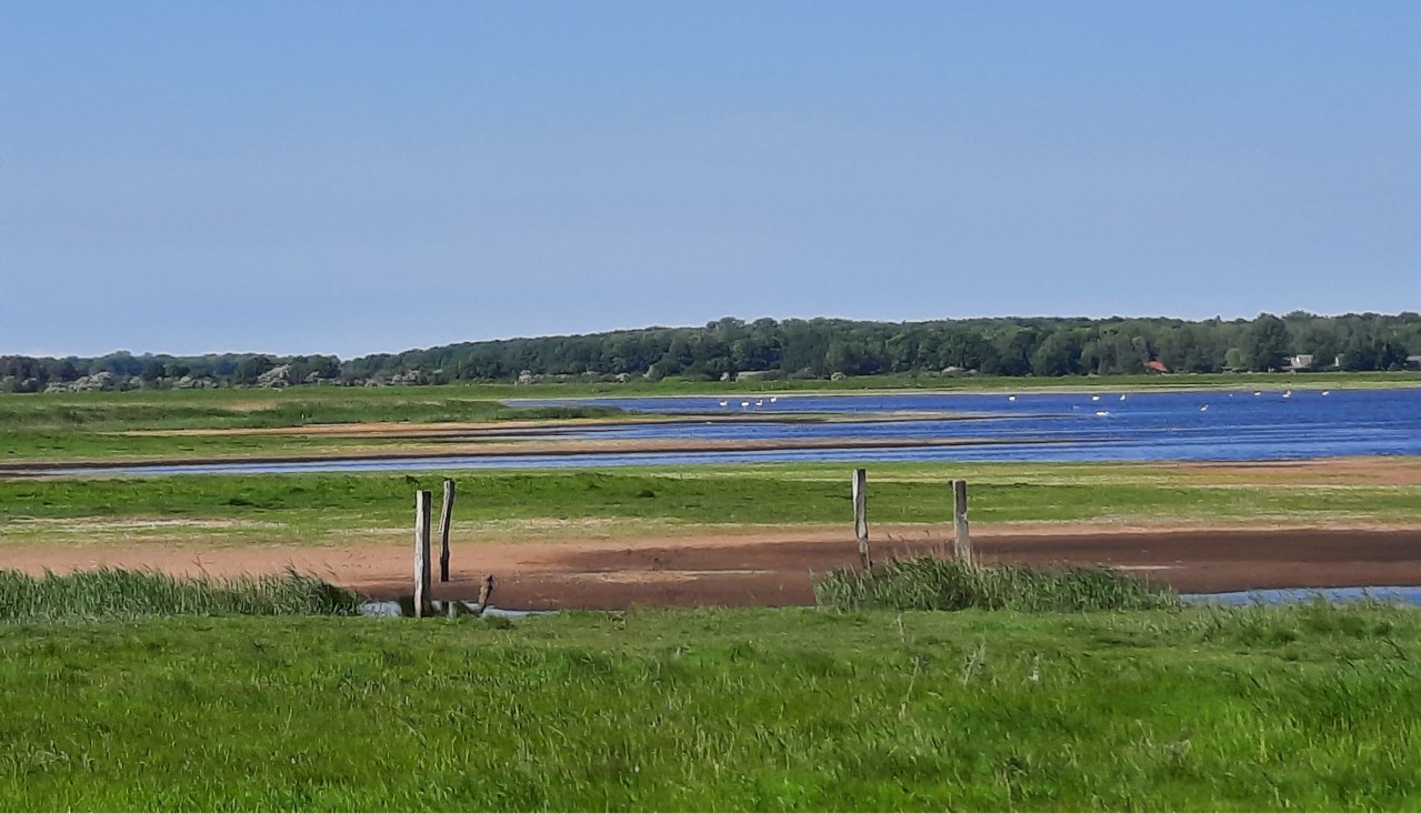 Uitzicht op de zoutmoerassen bij Drammendorf // © Sonja Schürger Uitzicht op de zoutmoerassen bij Drammendorf // © Sonja Schürger