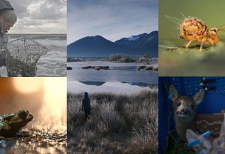 &copy; Natascha Tagwerk, Enita Maidorn, Jonas Steiner, Yaz Ellis, Jack Mifflin, Roman Willi