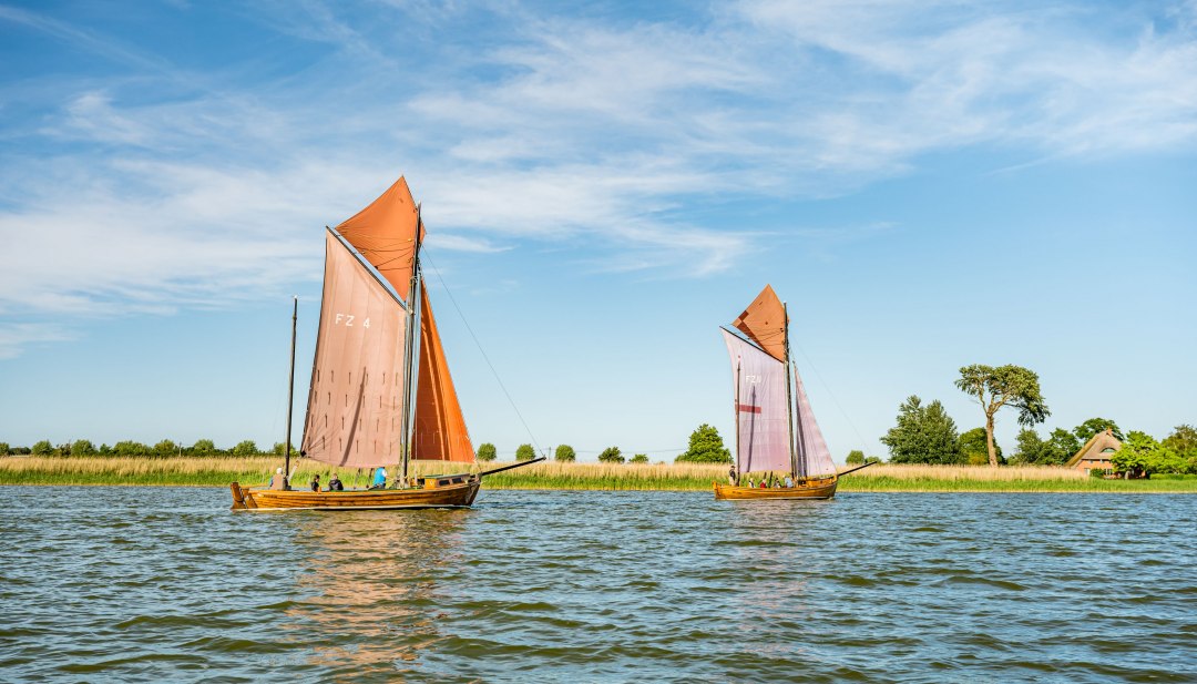 Two traditional Zeesboote boats with reddish-brown sails glide across the Bodden in the sunshine against the green backdrop of the shore.