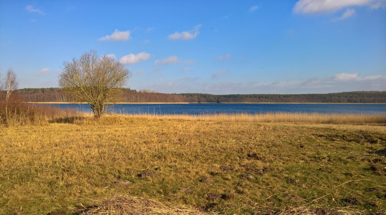 View of Lake Drewitz // &copy; Evelin Kartheuser