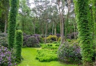 Blumen, Büsche und Bäume im Zoo Rostock. // © Zoo Rostock/ Drübbisch Blumen, Büsche und Bäume im Zoo Rostock. // © Zoo Rostock/ Drübbisch