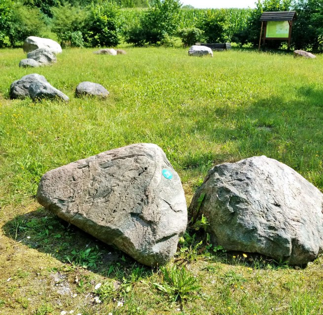 There are 32 boulders (currently) in the garden. There are numbers on the stones and a plaque tells you what kind of stone it is based on the number. // © Wolfgang Mamat There are 32 boulders (currently) in the garden. There are numbers on the stones and a plaque tells you what kind of stone it is based on the number. // © Wolfgang Mamat